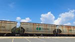 CNPX 1304